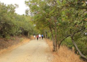 Fryman Canyon Trail minutes from Sherman Oaks